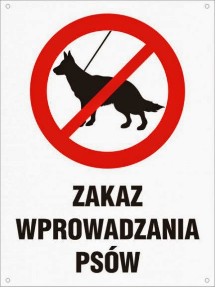 zakaza wstępu z psem pies, psy, futra, czterołape, kundle, pies w mieście, wychowanie psa, welsh corgi, welsh corgi cardigan, corgi, wyjazd z psem, podróż z psem, urlop z psem, szkolenie psa